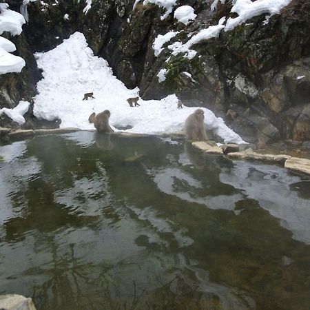 ホワイトツリーロッジ 信濃町 エクステリア 写真